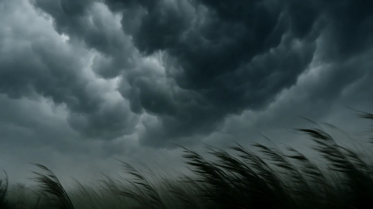 Meteo"