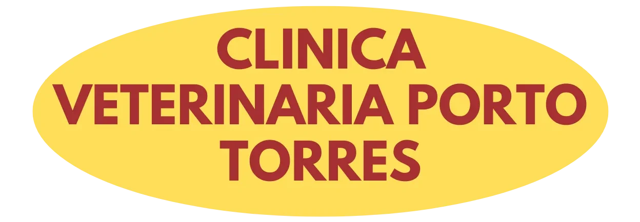 Clinica Veterinaria Porto Torres